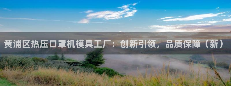 易倍app官网下载安装：黄浦区热压口罩机模具工厂：创新引