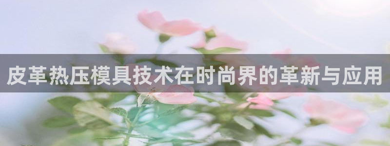 易倍纤怎么使用：皮革热压模具技术在时尚界的革新与应用
