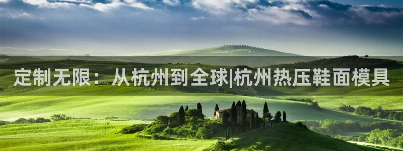 emc易赔：定制无限：从杭州到全球|杭州热压鞋面模具