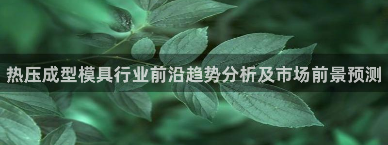 易倍纤酵素效果好吗：热压成型模具行业前沿趋势分析及市场前