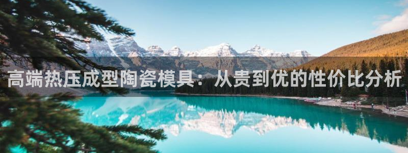 易倍申有用吗：高端热压成型陶瓷模具：从贵到优的性价比分析