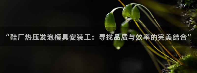 emc易倍是黑台子吗：“鞋厂热压发泡模具安装工：寻找品质