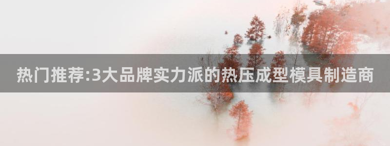 EMC易倍让身份验证：热门推荐:3大品牌实力派的热压成型