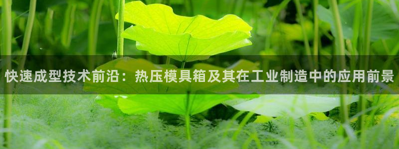 易倍申厂家：快速成型技术前沿：热压模具箱及其在工业制造中