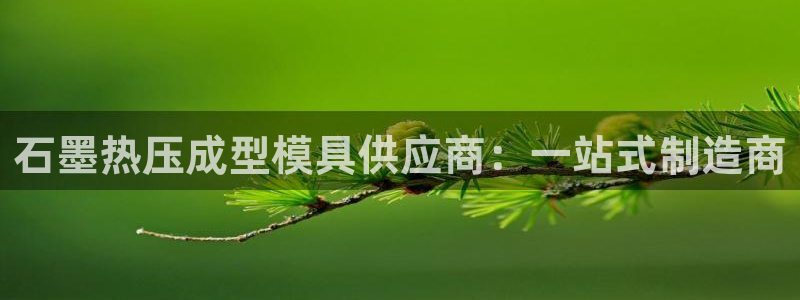易倍纤代餐粉能减肥吗：石墨热压成型模具供应商：一站式制造