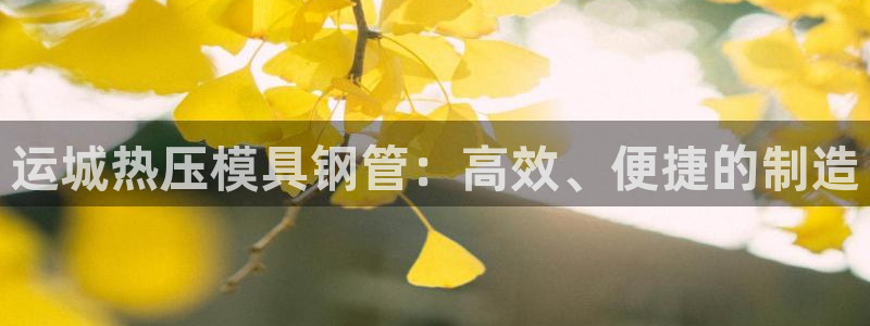 易倍单词官方网站登录：运城热压模具钢管：高效、便捷的制造
