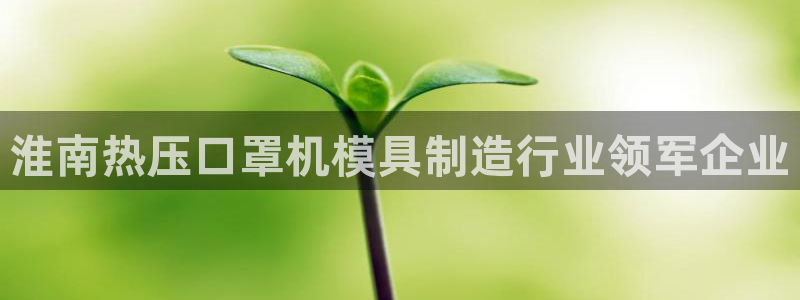 emc易倍ios官网：淮南热压口罩机模具制造行业领军企业