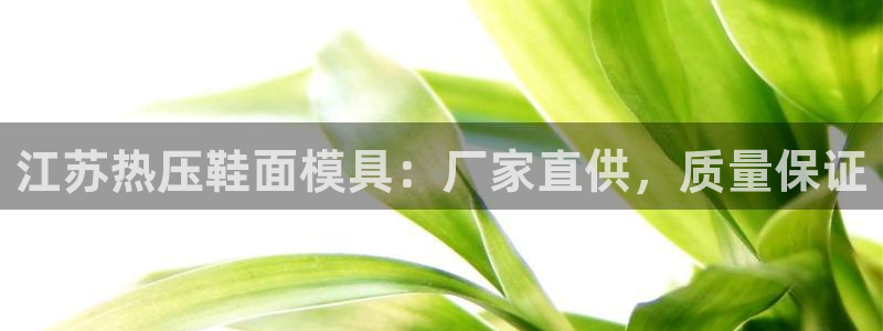 易倍申片