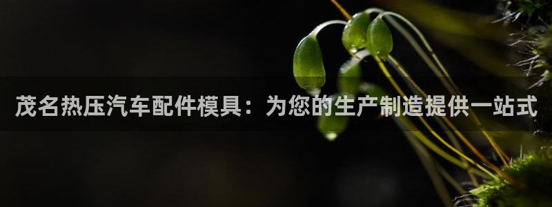 易倍纤谷物粉效果好吗