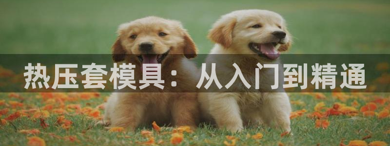 易倍易趣网