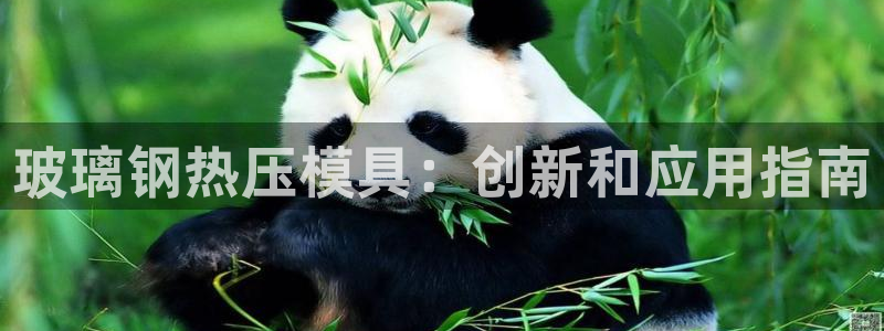 杭州易倍达上班怎么样