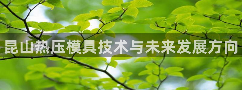 北京易倍思教育怎么样：昆山热压模具技术与未来发展方向