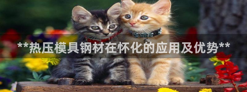 emc平台：**热压模具钢材在怀化的应用及优势**