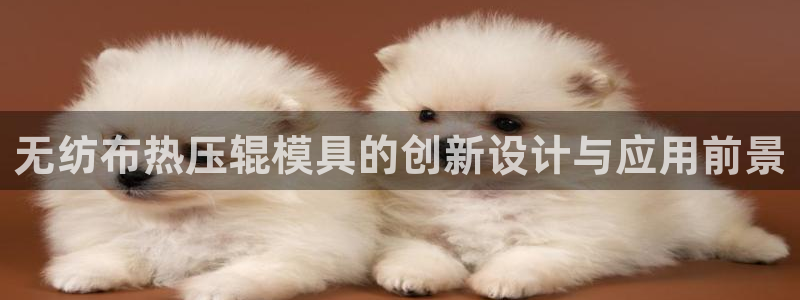 杭州易倍达科技有限公司怎么样：无纺布热压辊模具的创新设计