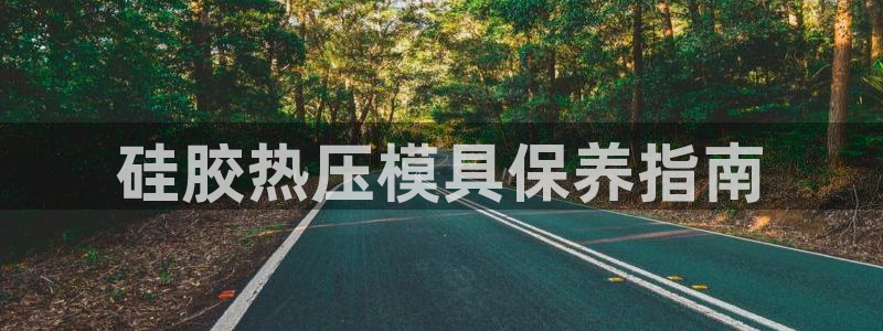 易倍纤酵素效果好吗