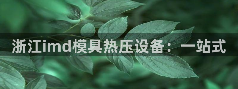 易倍emc安全吗：浙江imd模具热压设备：一站式