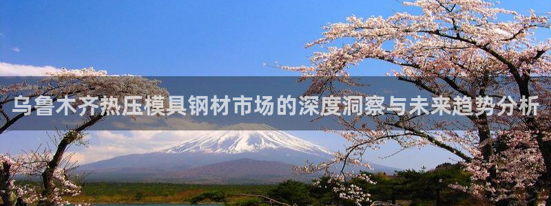 emc易倍网站是多少：乌鲁木齐热压模具钢材市场的深度洞察