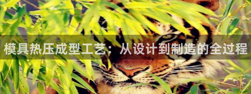 易倍申多少钱：模具热压成型工艺：从设计到制造的全过程