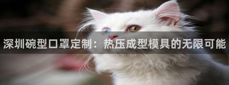 emc备份软件：深圳碗型口罩定制：热压成型模具的无限可能