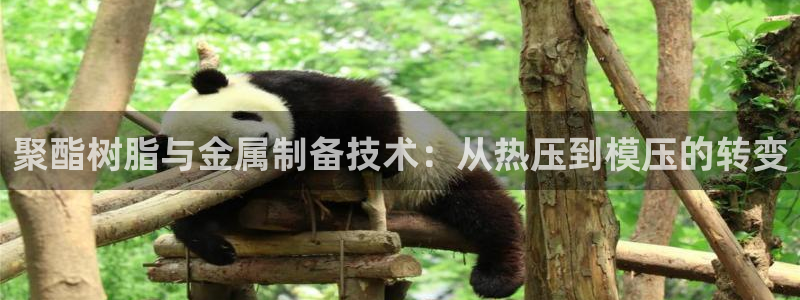 emc易倍黑吗:聚酯树脂与金属制备技术:从热压到模压的转