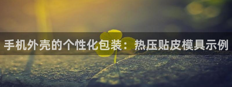 易倍企业管理软件:手机外壳的个性化包装:热压贴皮模具示例
