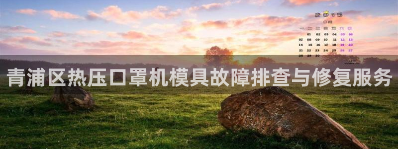 emc易倍的服务优势：青浦区热压口罩机模具故障排查与修复