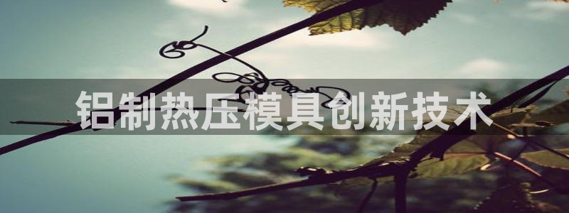 易倍纤官网：铝制热压模具创新技术