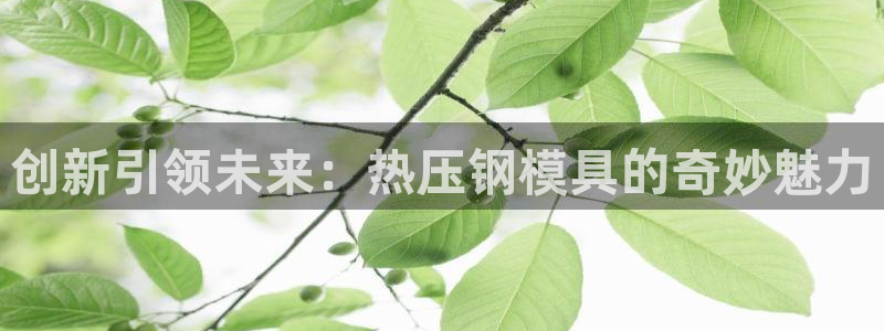 易倍申价格：创新引领未来：热压钢模具的奇妙魅力