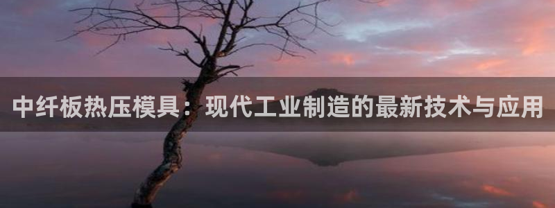 易倍单词如何下载:中纤板热压模具:现代工业制造的最新技术