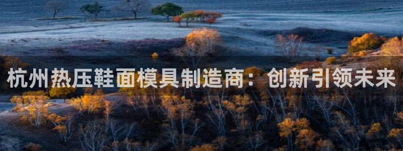 emc32软件：杭州热压鞋面模具制造商：创新引领未来